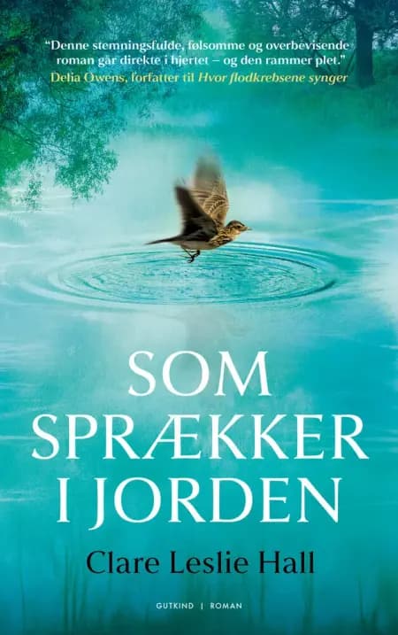 Som sprækker i jorden af Clare Leslie Hall