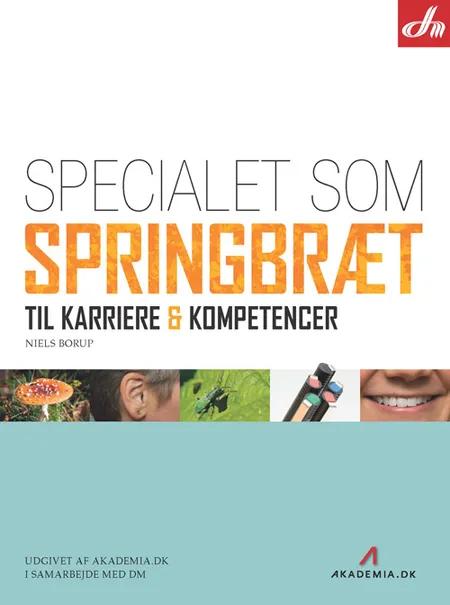 Specialet som springbræt til karriere & kompetencer af Niels Borup