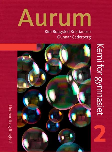 Aurum 2 af Kim Rongsted Kristiansen