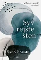Syv rejste sten af Sara Baume