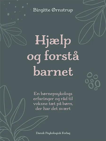 Hjælp og forstå barnet af Birgitte Ørnstrup