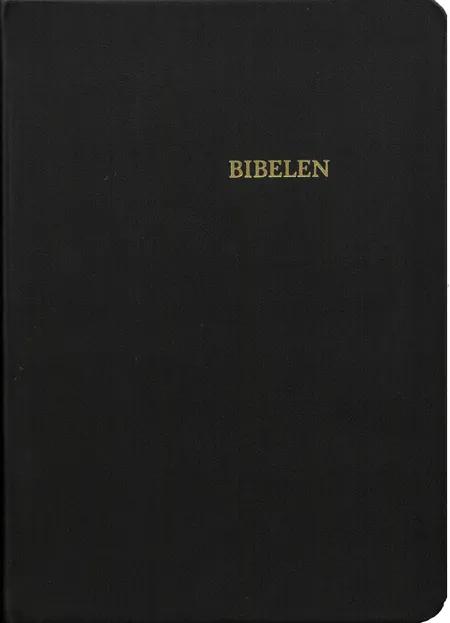 Bibelen i sort skind 