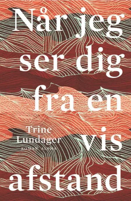 Når jeg ser dig fra en vis afstand af Trine Lundager