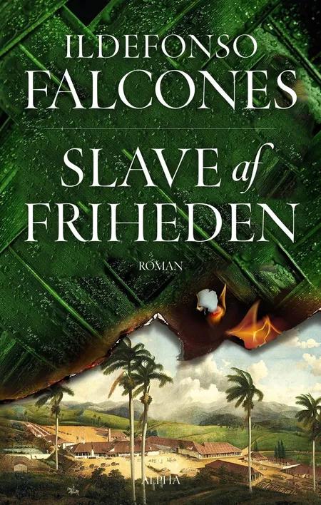 Slave af friheden af Ildefonso Falcones