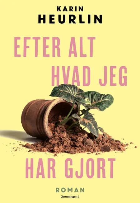 Efter alt hvad jeg har gjort af Karin Heurlin