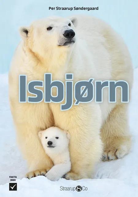 Isbjørn af Per Straarup Søndergaard