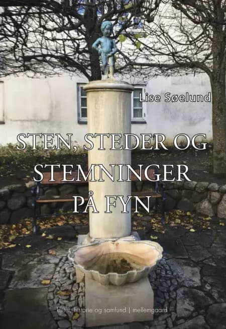 Sten, steder og stemninger på Fyn af Lise Søelund