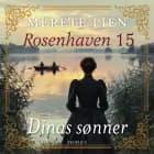 Dinas sønner af Merete Lien