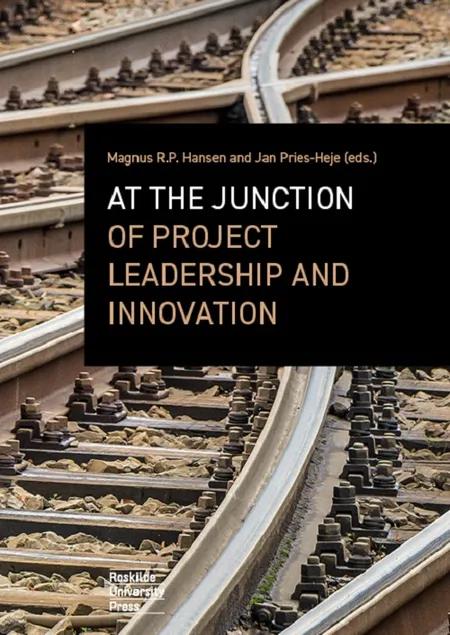 At the junction of project leadership and innovation af Magnus R.P. Hansen