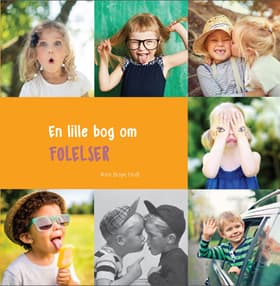 En lille bog om FØLELSER af Kim Boye Holt
