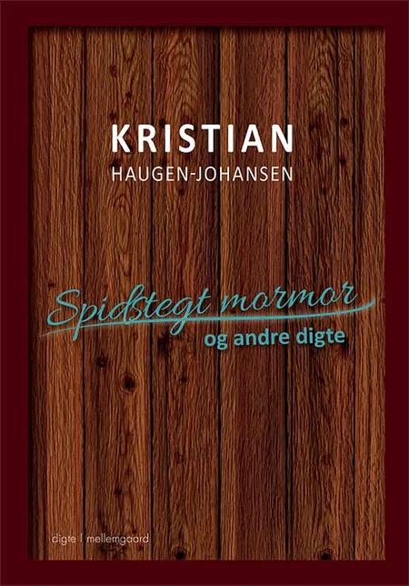 Spidstegt mormor og andre digte af Kristian Haugen-Johansen
