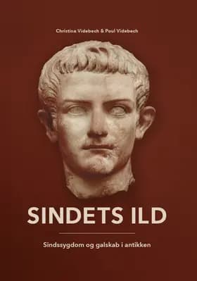 Sindets Ild af Poul Videbech