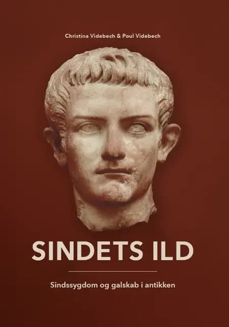 Sindets Ild af Poul Videbech