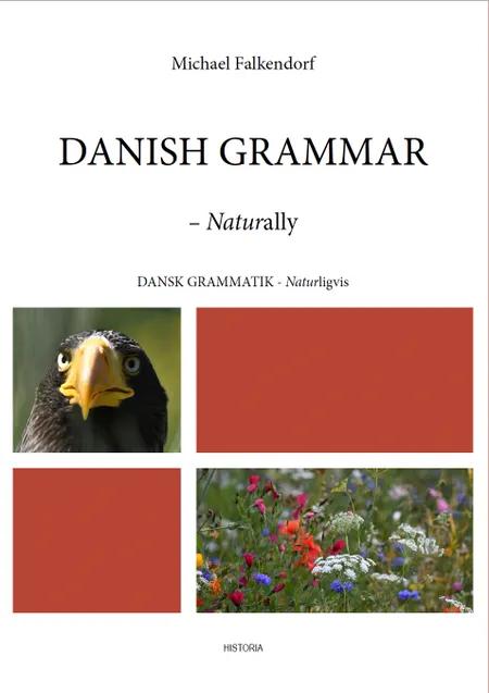 Danish Grammar af Michael Falkendorf