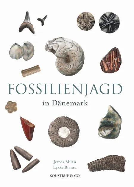 Fossilienjagd in Dänemark af Jesper Milan