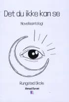 Det du ikke kan se - Novelleantologi - Rungsted Skole af Ahmad Durani