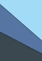 Fransk modernisme af Inge Vibeke Raaschou-Nielsen