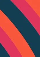 Voldsramt kvinde af Lise Seidelin