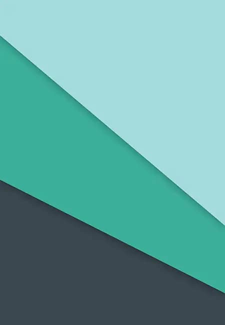 Akupunktur under graviditet, fødsel & barsel af Johanne Siegumfeldt