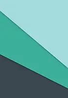 Akupunktur under graviditet, fødsel & barsel af Johanne Siegumfeldt