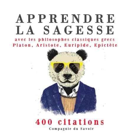 Apprendre la sagesse avec les philosophes classiques grecs 400 citations af Platon