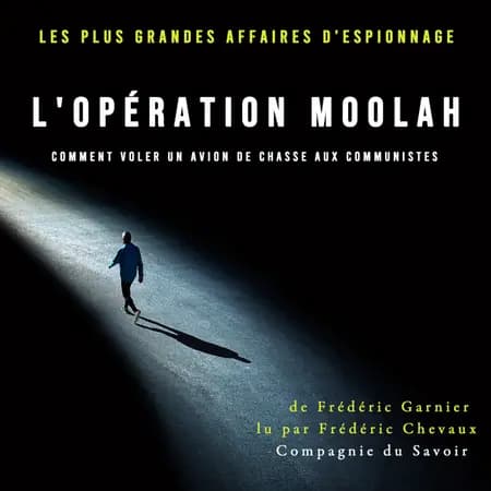 L'Opération Moolah comment voler un avion de chasse aux communistes af Frédéric Garnier