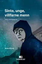 Sinte, unge, villfarne menn : vårt medansvar