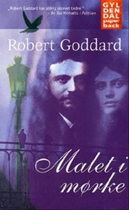 Malet i mørke af Robert Goddard