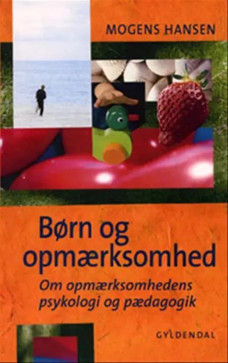 Børn og opmærksomhed af Mogens Hansen