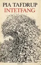Intetfang af Pia Tafdrup