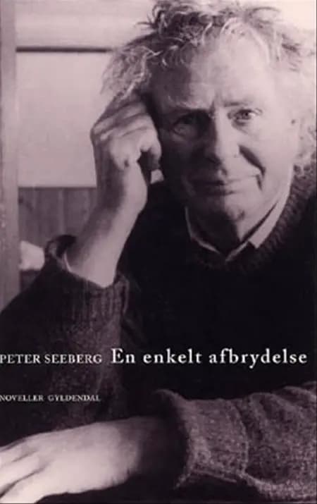En enkelt afbrydelse af Peter Seeberg