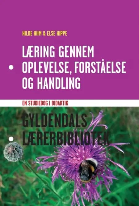 Læring gennem oplevelse, forståelse og handling af Hilde Hiim