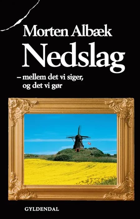 Nedslag af Morten Albæk