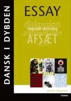 Essay af Birgitte Therkildsen