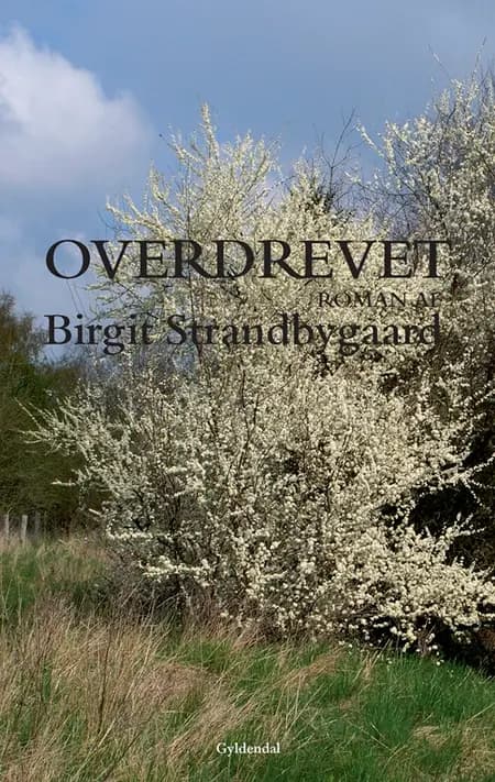 Overdrevet af Birgit Strandbygaard
