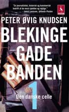 Blekingegadebanden 1 af Peter Øvig Knudsen