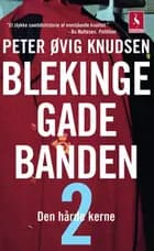 Blekingegadebanden 2 af Peter Øvig Knudsen