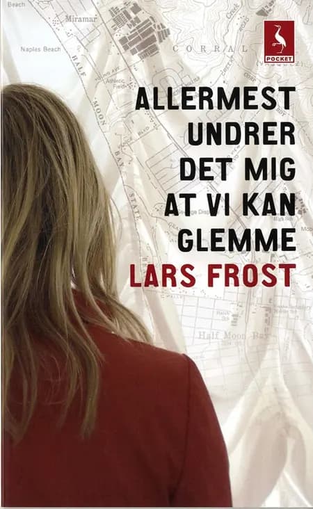 Allermest undrer det mig at vi kan glemme af Lars Frost