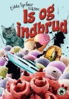 Is og indbrud af Rikke Dyrhave