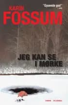 Jeg kan se i mørke af Karin Fossum