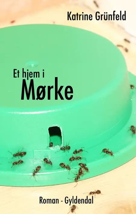 Et hjem i Mørke af Katrine Grünfeld