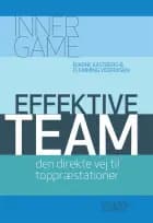 Effektive team af Bjarne Kastberg og Flemming Videriksen