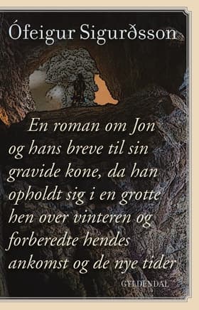 En roman om Jon af Ofeigur Sigurdsson