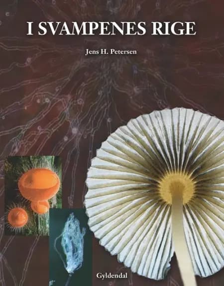 I svampenes rige af Jens H. Petersen