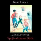 Spejl-Ørkenens gåde af Knud Holten