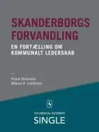 Skanderborgs forvandling - Den danske ledelseskanon, 8 af Frank Stokholm og Mikael Lindholm