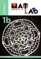 Matlab - matematiklaboratoriet 1b af Thomas Kaas, Ole Freil og Heidi Kristiansen