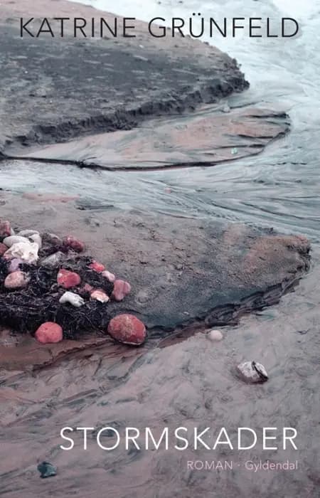 Stormskader af Sven Reiner Johansen