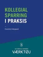 Kollegial sparring i praksis af Charlotte Dalsgaard