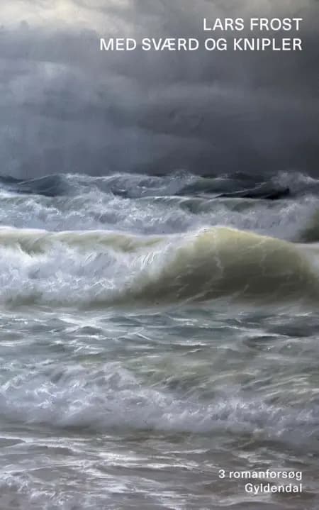 Med sværd og knipler af Lars Frost